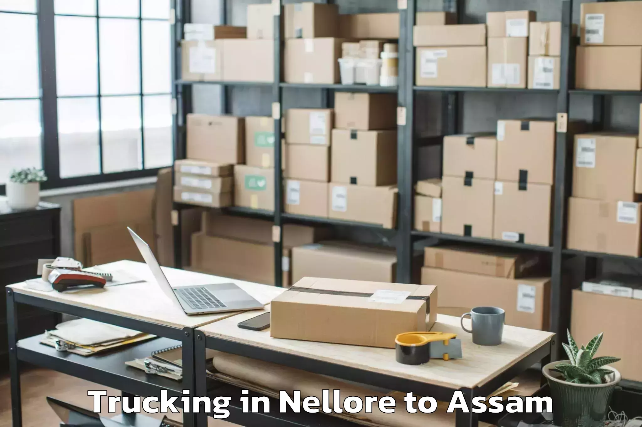 Book Nellore to Gossaigaon Pt Trucking Online